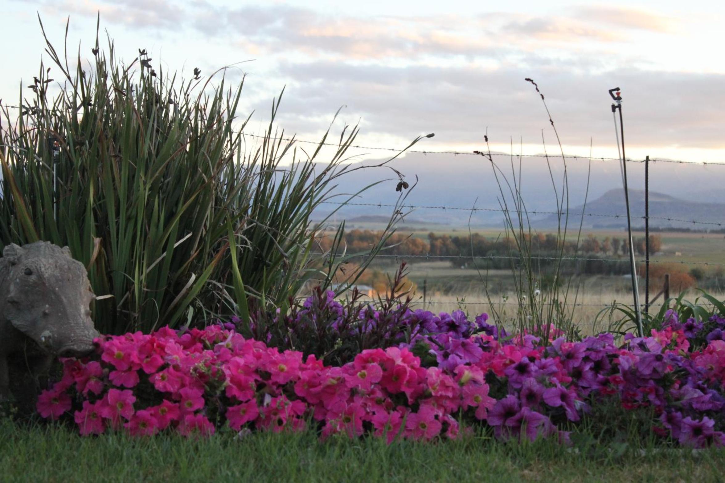 Drakensview Self Catering 32/50
