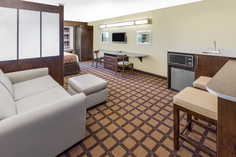 Microtel Inn & Suites By Wyndham Ozark 17/20