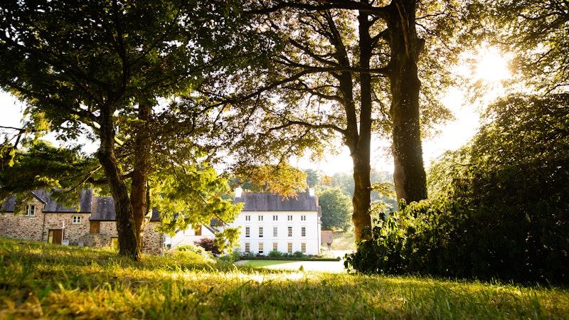 Grove Of Narberth 35/35