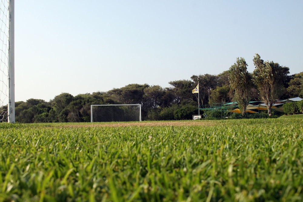 surroundings