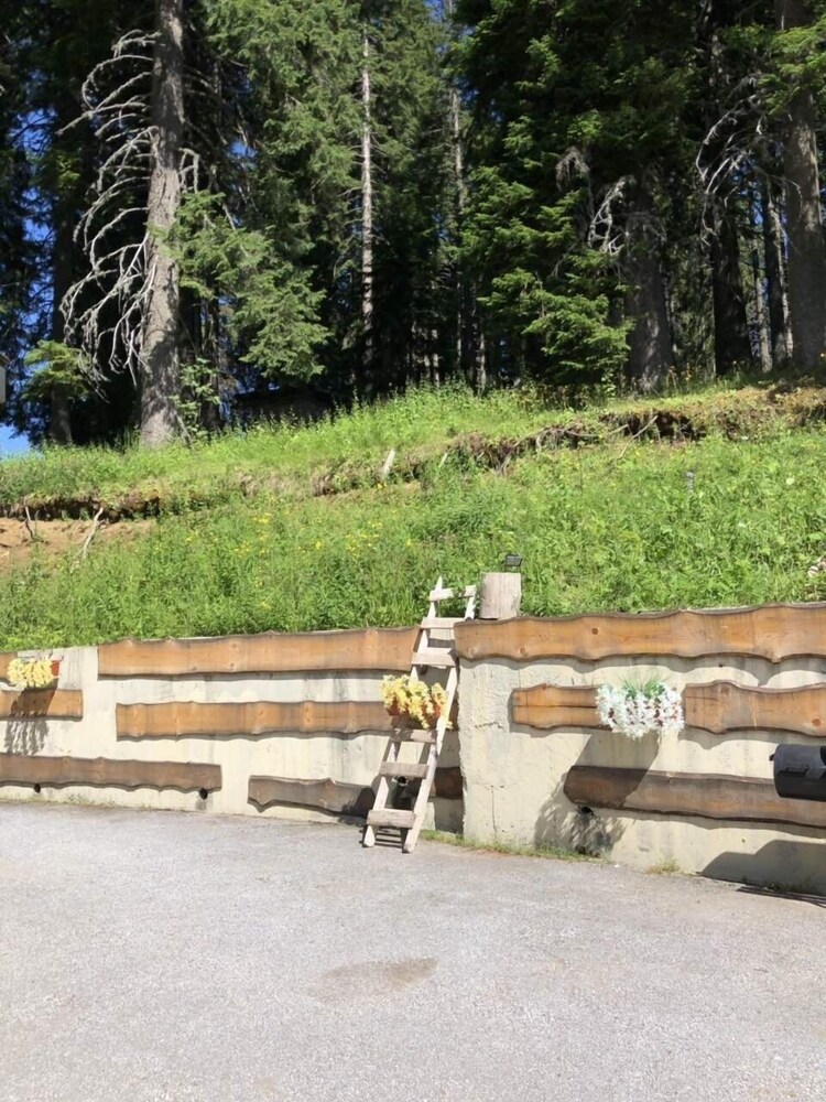 Sunny Hills Ski 45/50