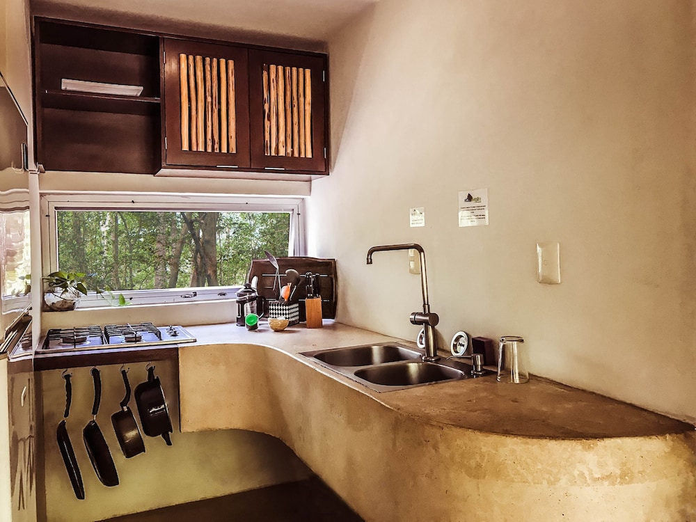 Vida Silvestre Tulum 5/50