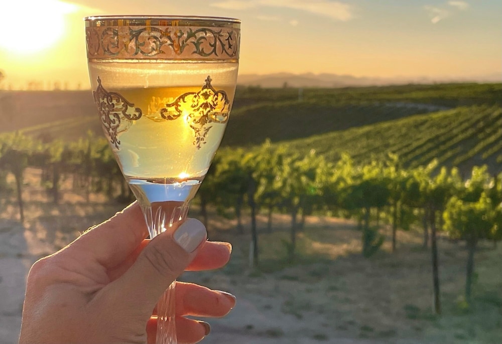 Domaine Chardonnay 23/50