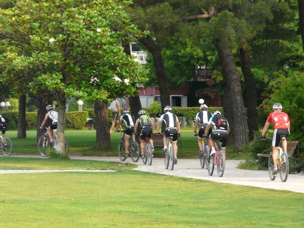 Ecohotel Primavera 63/72
