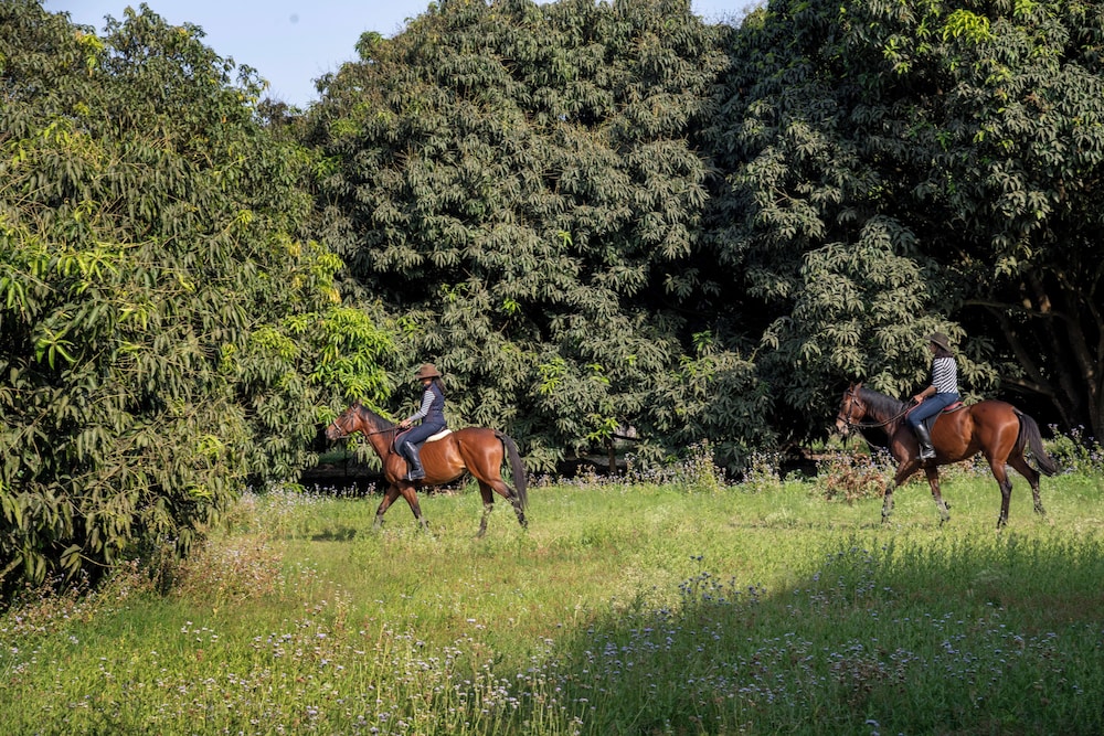 Aalia Jungle Retreat and Spa 46/73