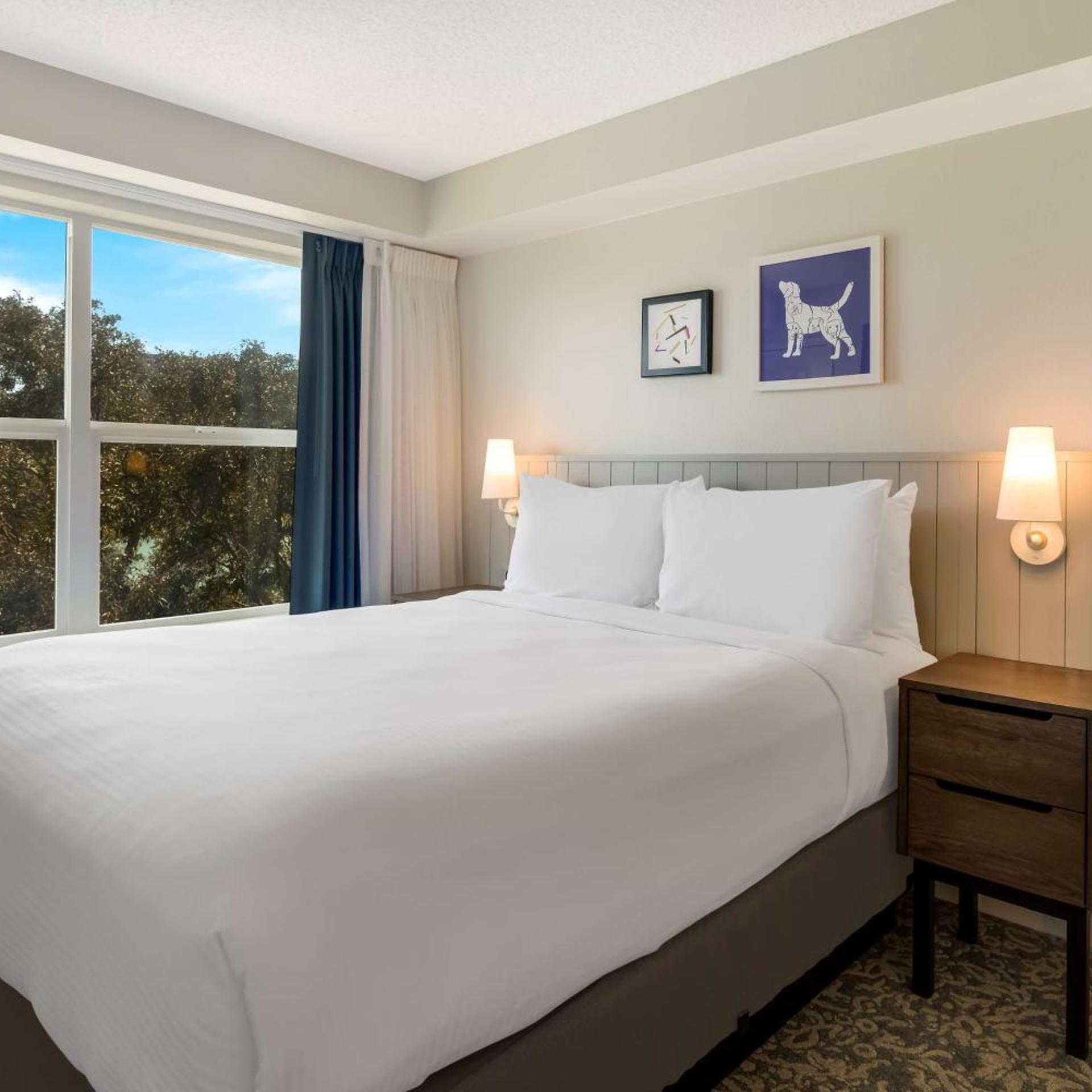 Studio, Suite, Queen Bed