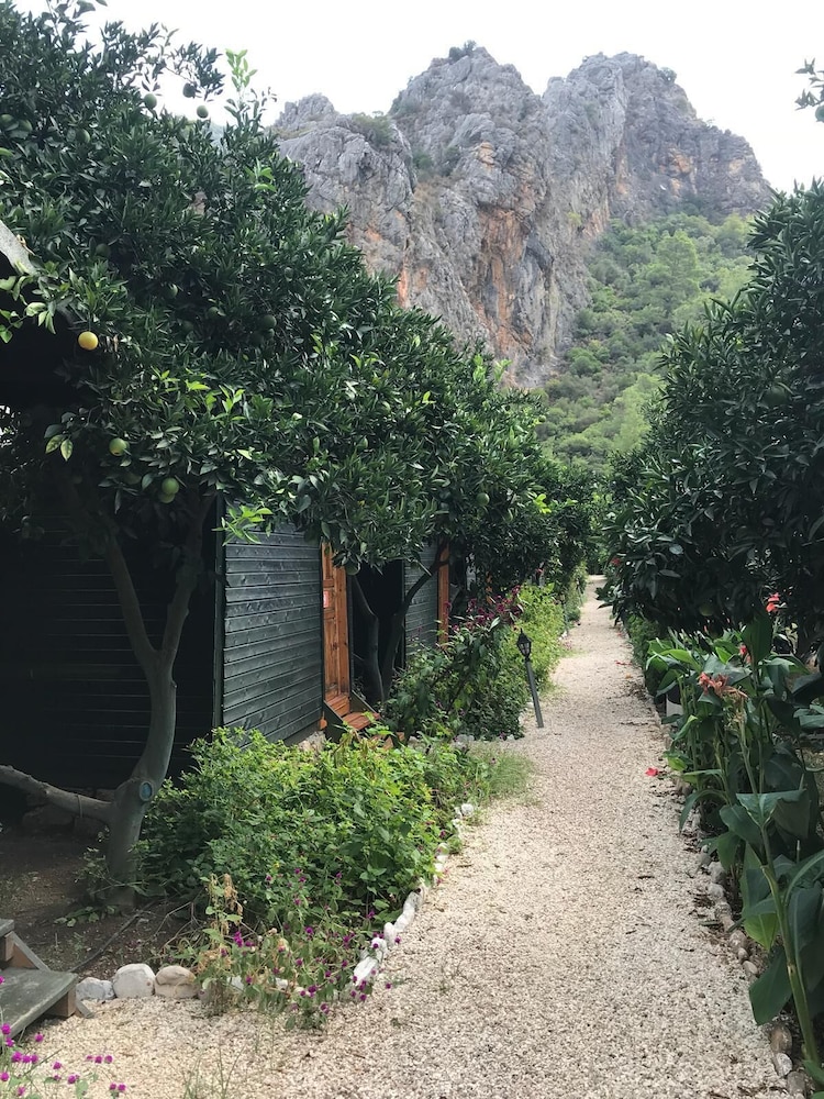 Olympos Tatilya Pansiyon 33/41