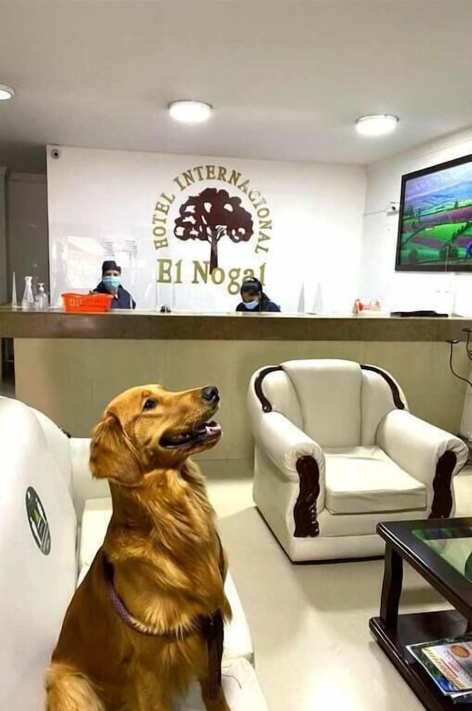 Internacional El Nogal Ipiales 14/19