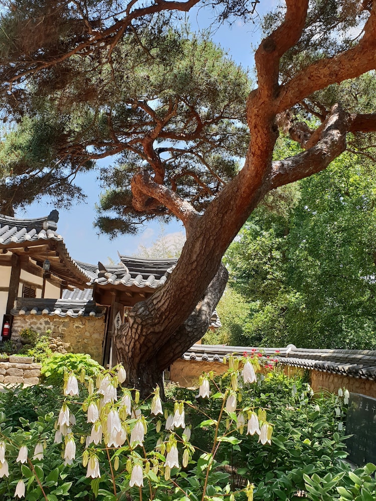 Okyeon Pavilion 32/50