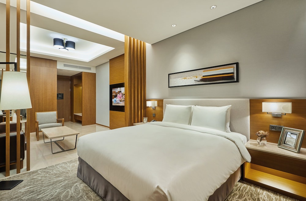 Hotel Skypark Central Seoul Pangyo 21/65