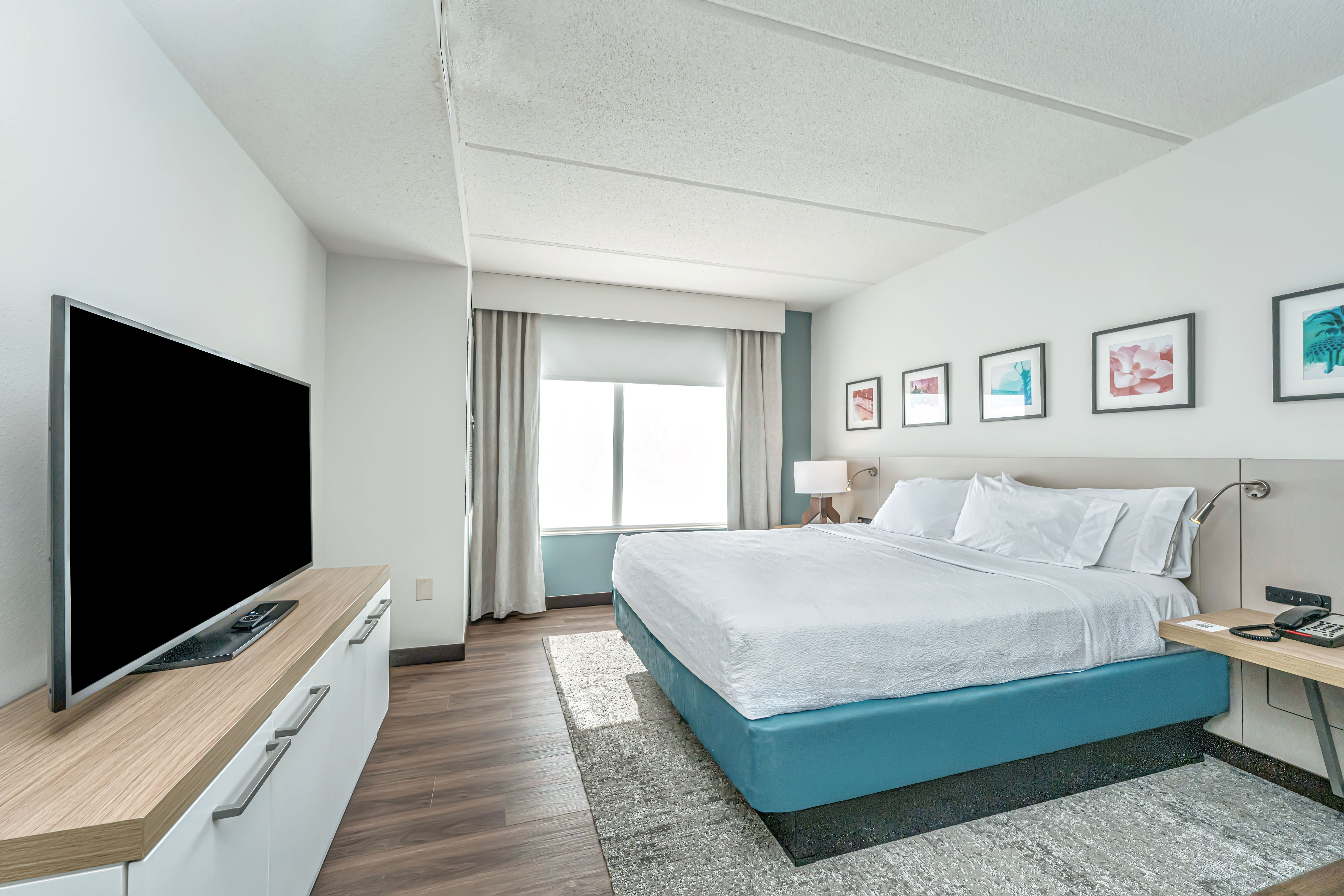 1 BEDROOM, SUITE, KING BED, SOFA