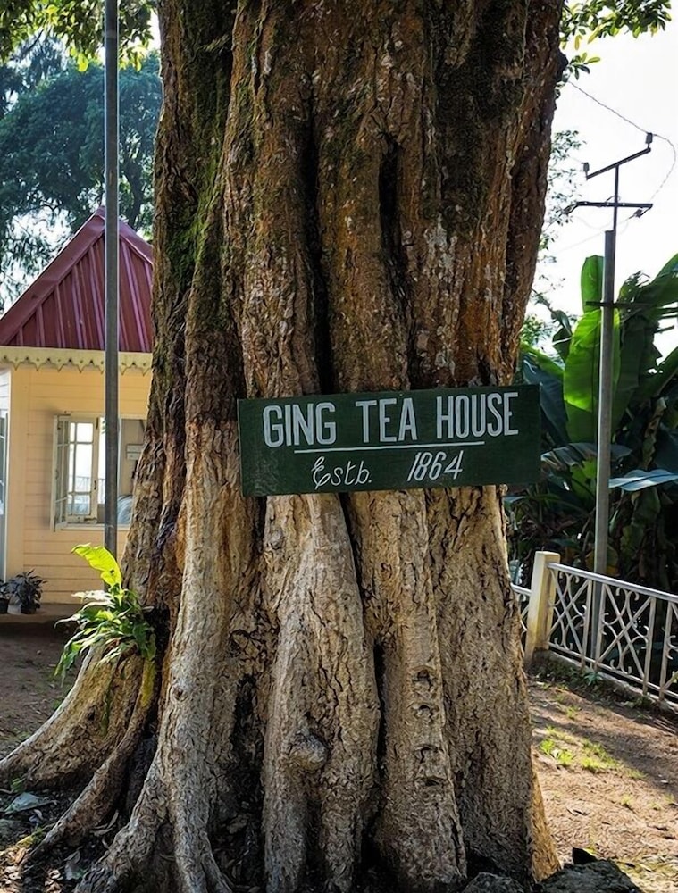 Ging Tea House 25/33