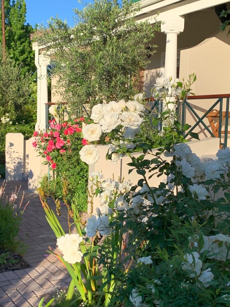 Montagu Vines Guest House 37/50