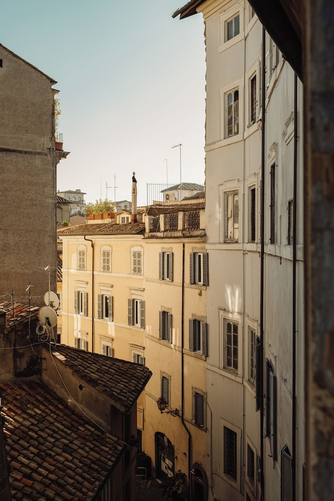 Piazza Navona White 36/50