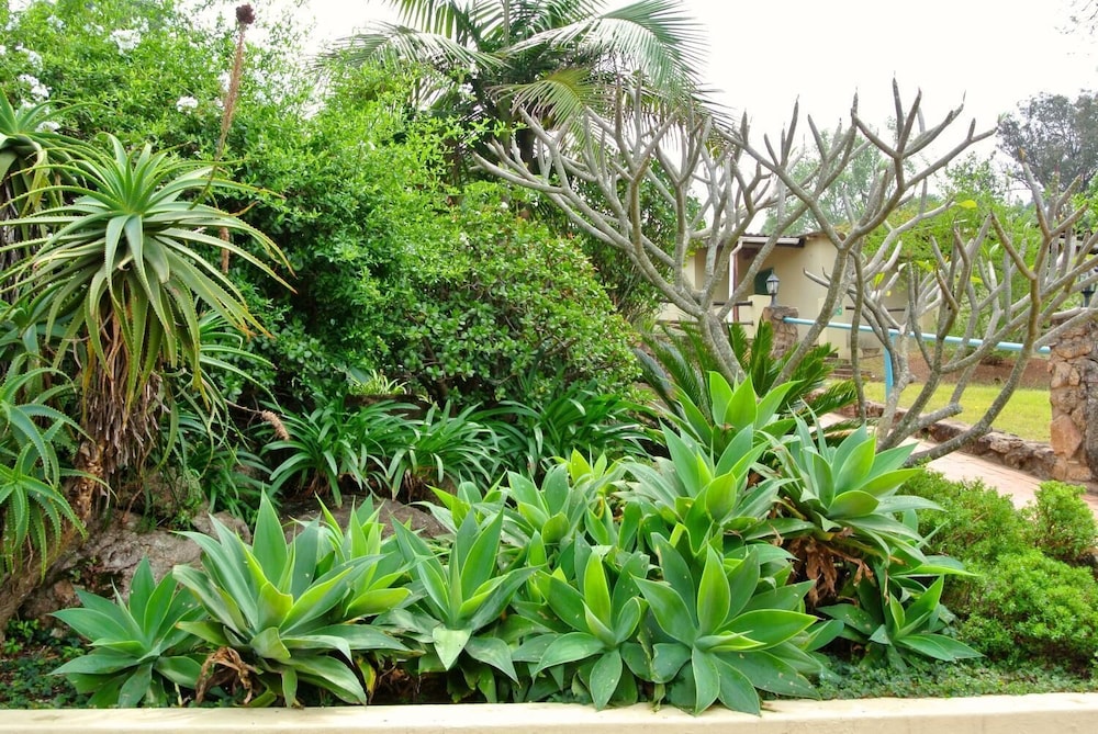 emafini country lodge