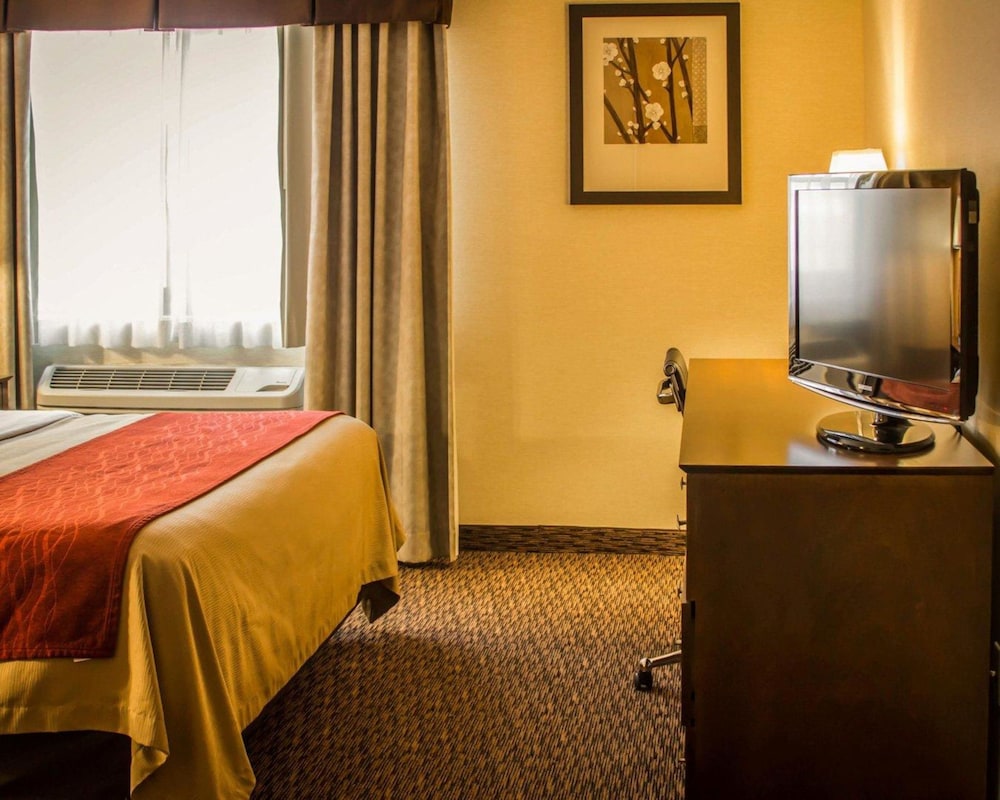 Quality Inn & Suites Port Huron 18/35