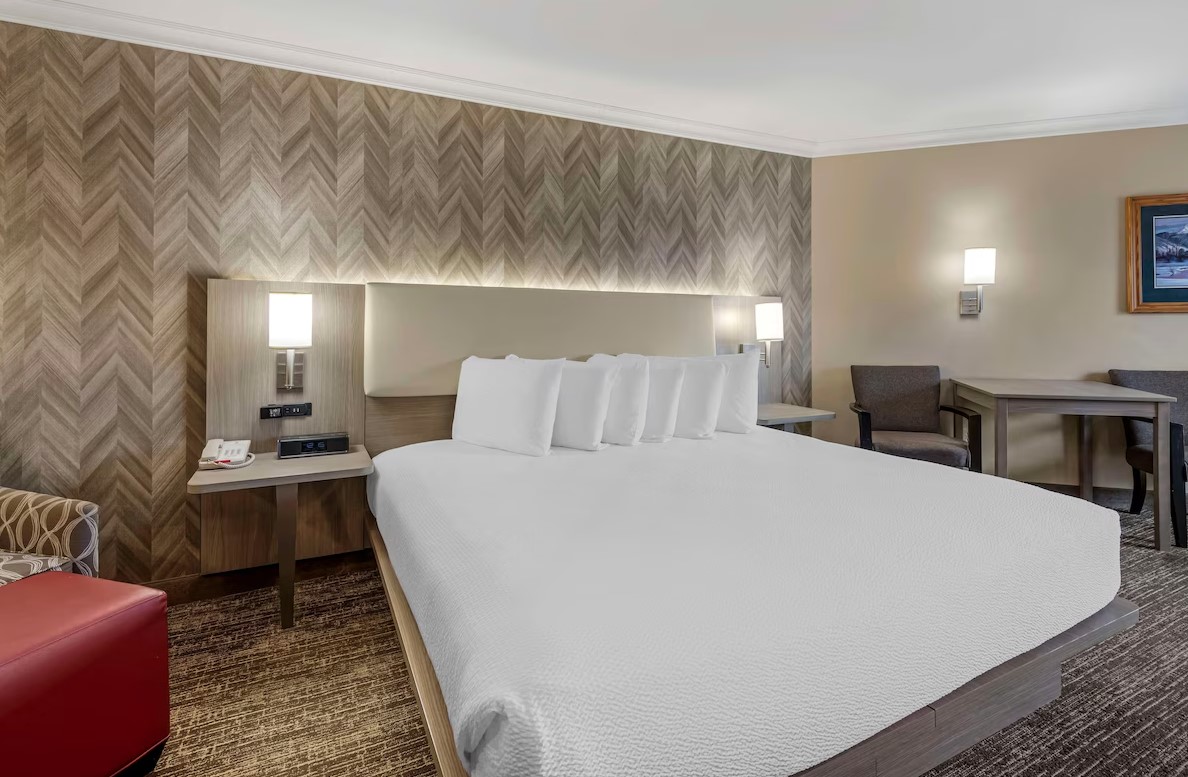 Lodge, King Bed