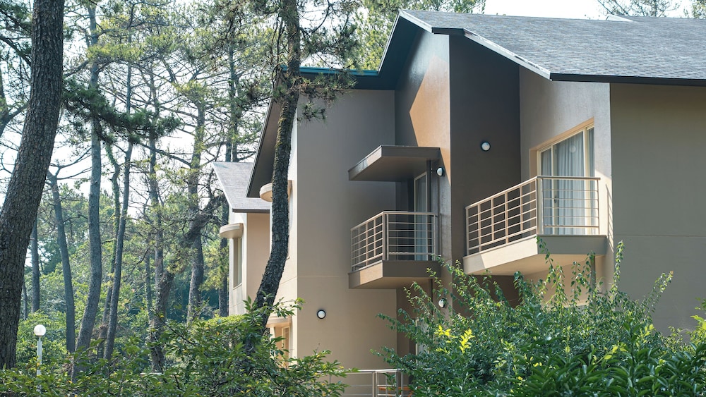 Seagaia Forest Cottages 6/50