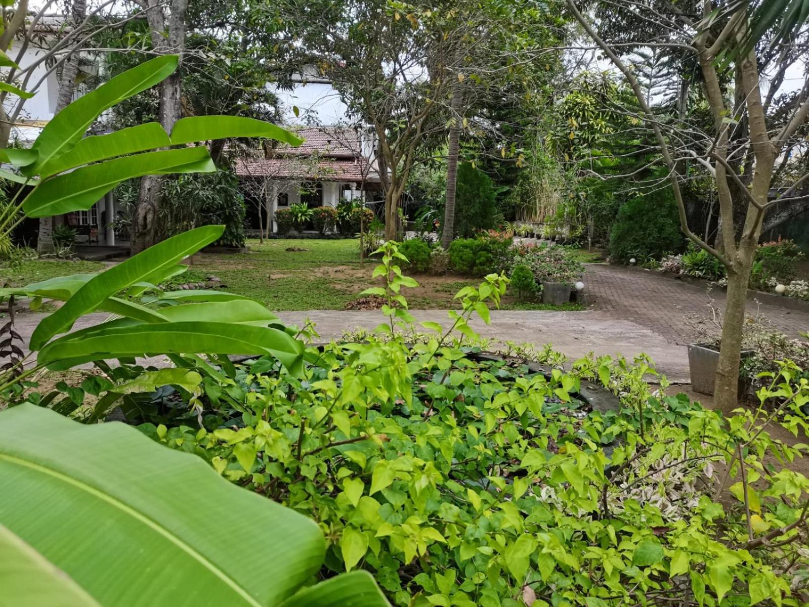 Seyara Holiday Resort 52/54