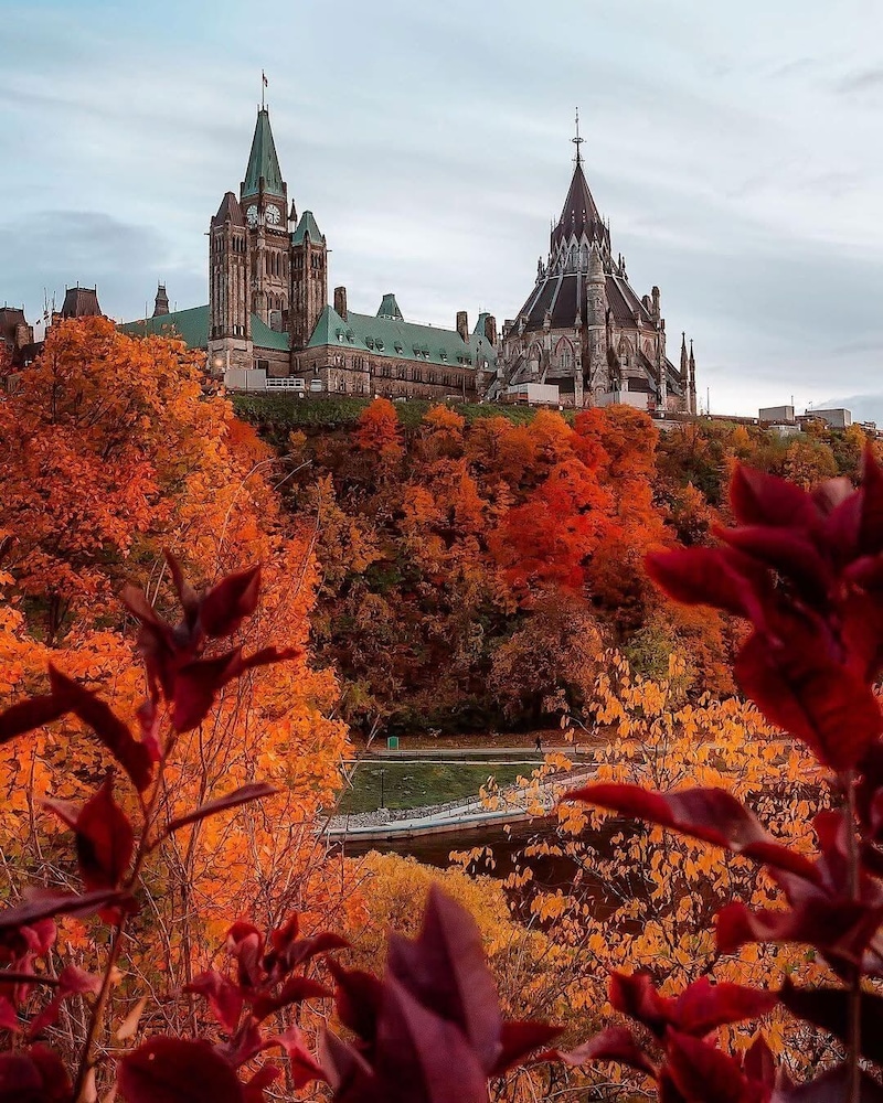 reStays Ottawa 44/50