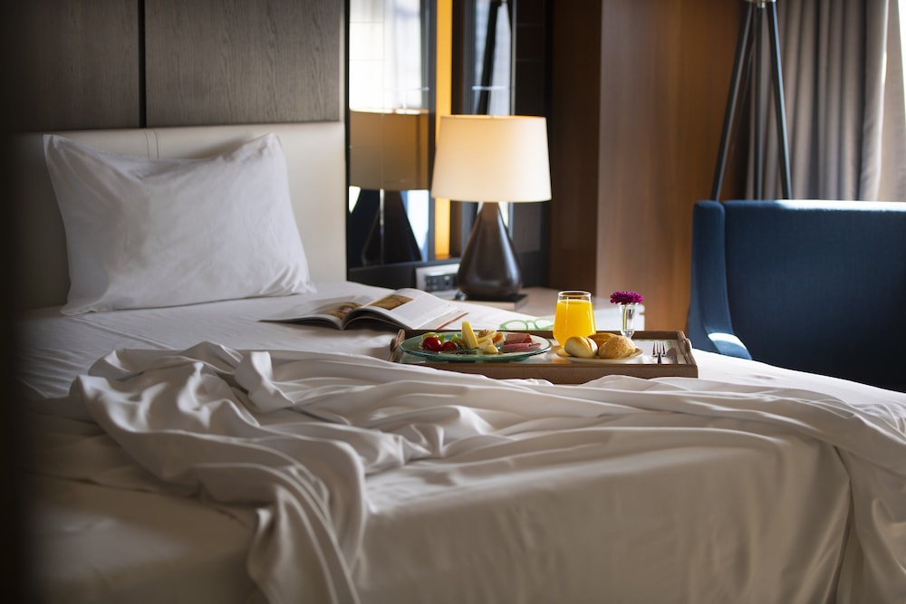 HOLIDAY INN KAYSERI - DUVENONU 25/62