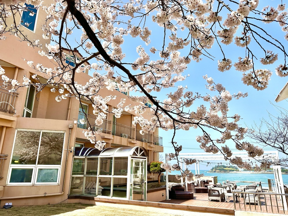 Hotel One Byeonsan 3/50