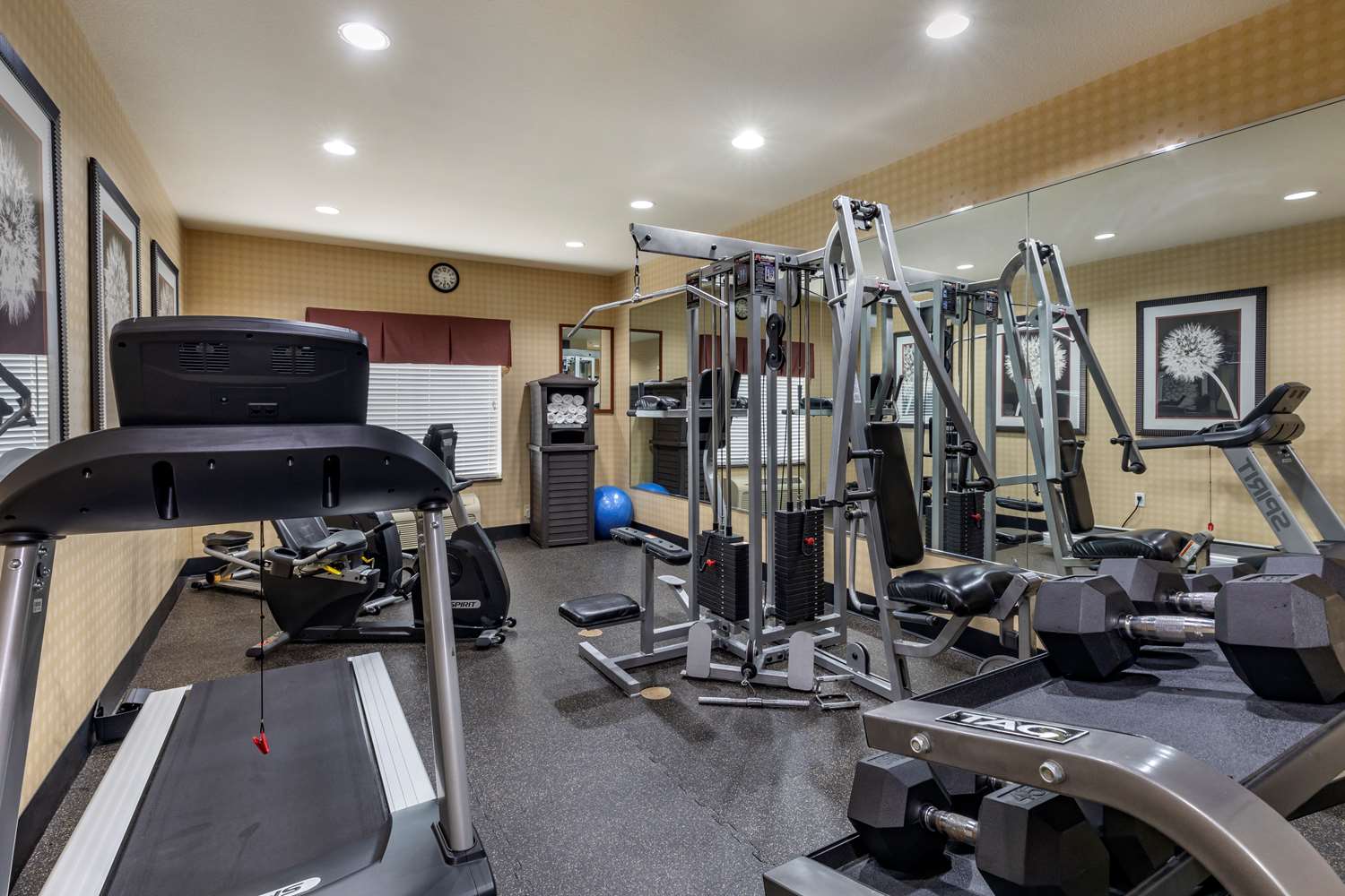 Best Western Plus Dfw Airport West Euless 18/41