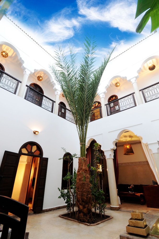 Riad Elias 6/72
