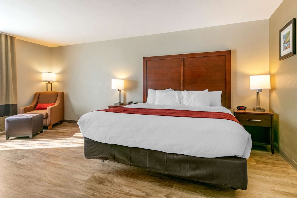 Upgrade, King Bed