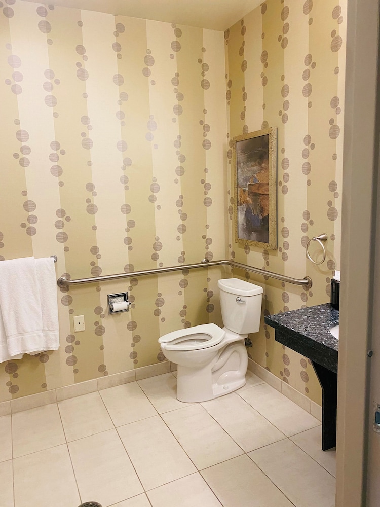 Hilton Garden Inn Fort Worth Alliance Airport 25/59