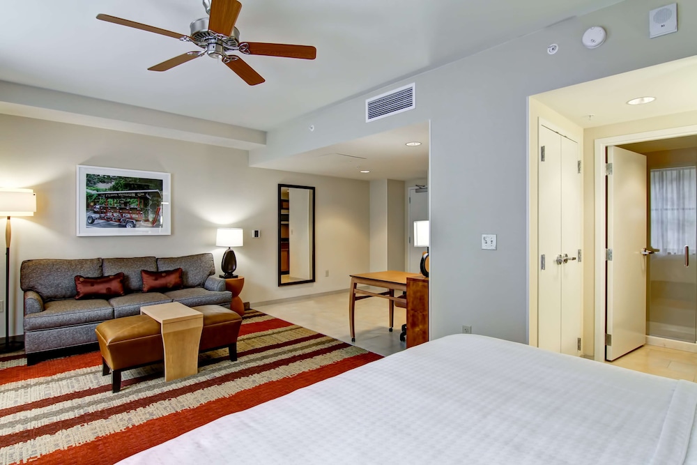 Homewood Suites by Hilton Cincinnati-Downtown 20/73