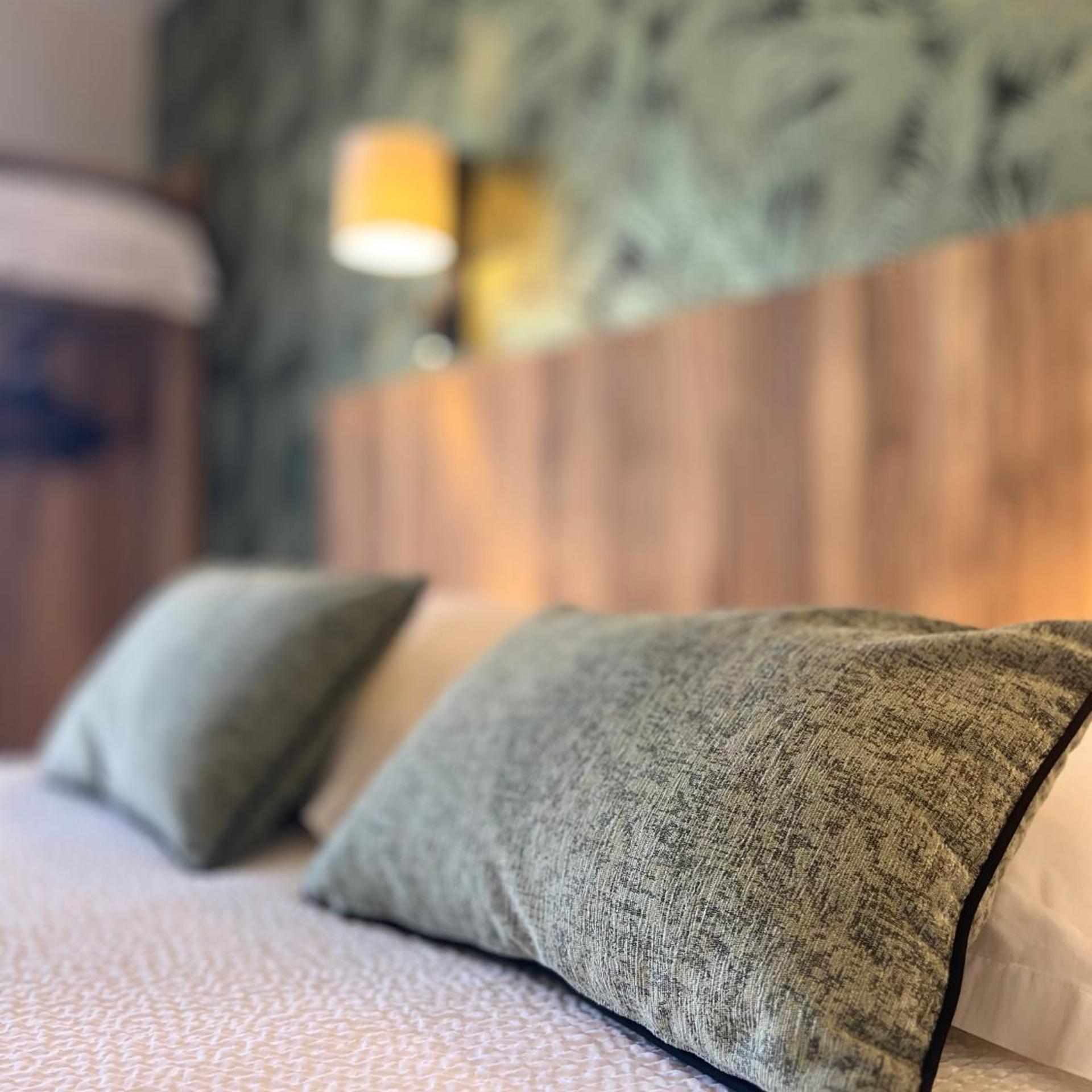 HÔTEL AZALÉES 22/50