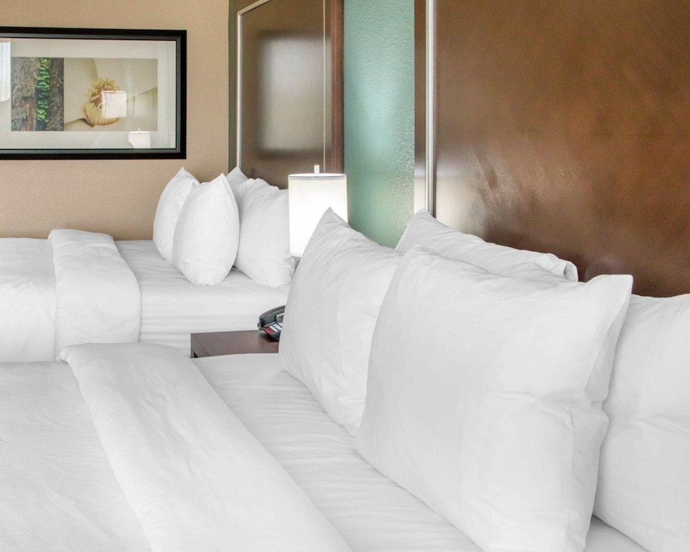 Comfort Inn and Suites San Marcos 12/47