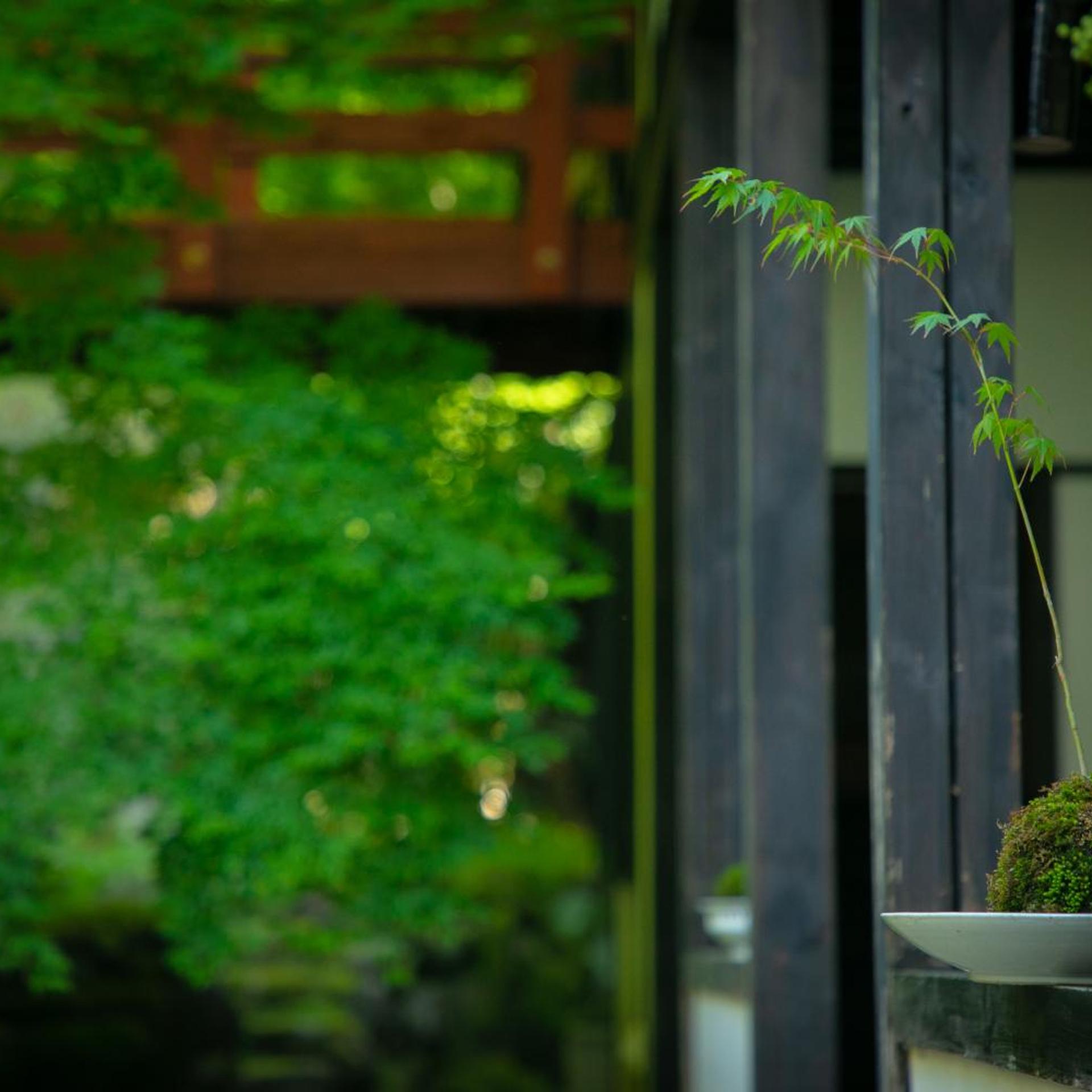 Ueyama Ryokan 48/50