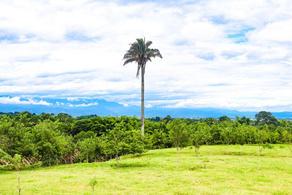 Hotel Quindio Campestre 22/29