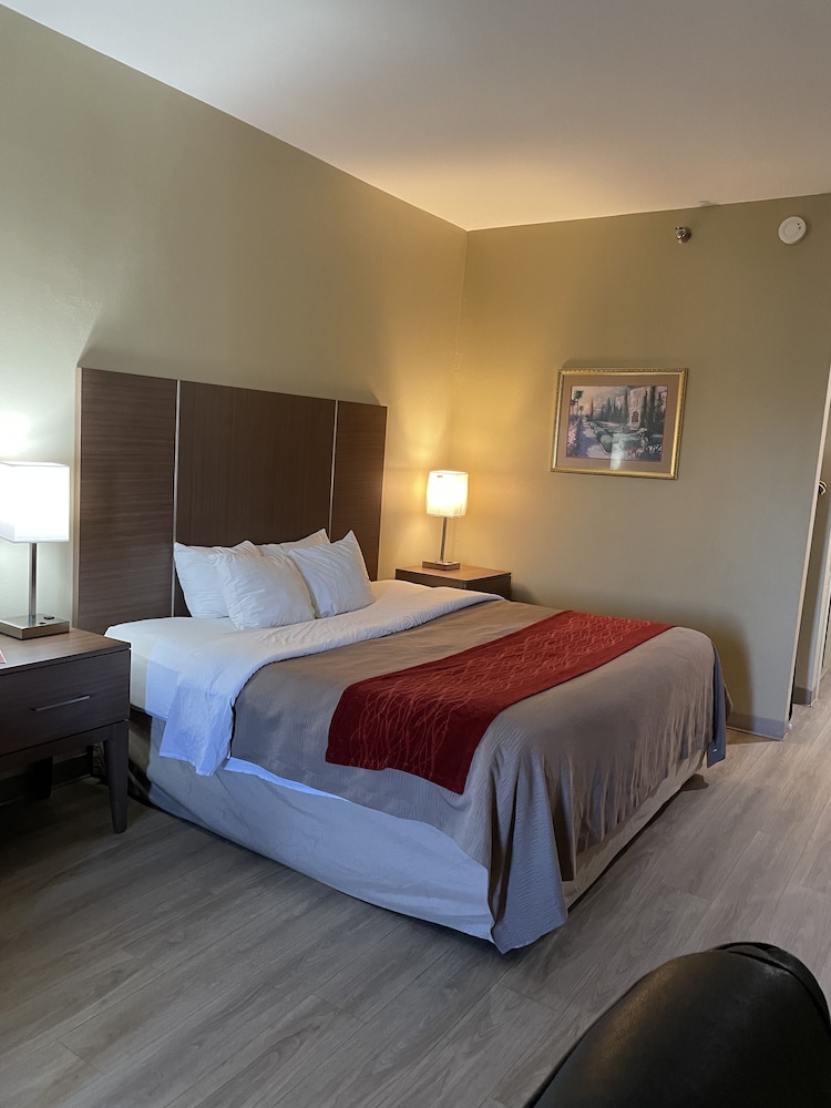 Standard, King Bed