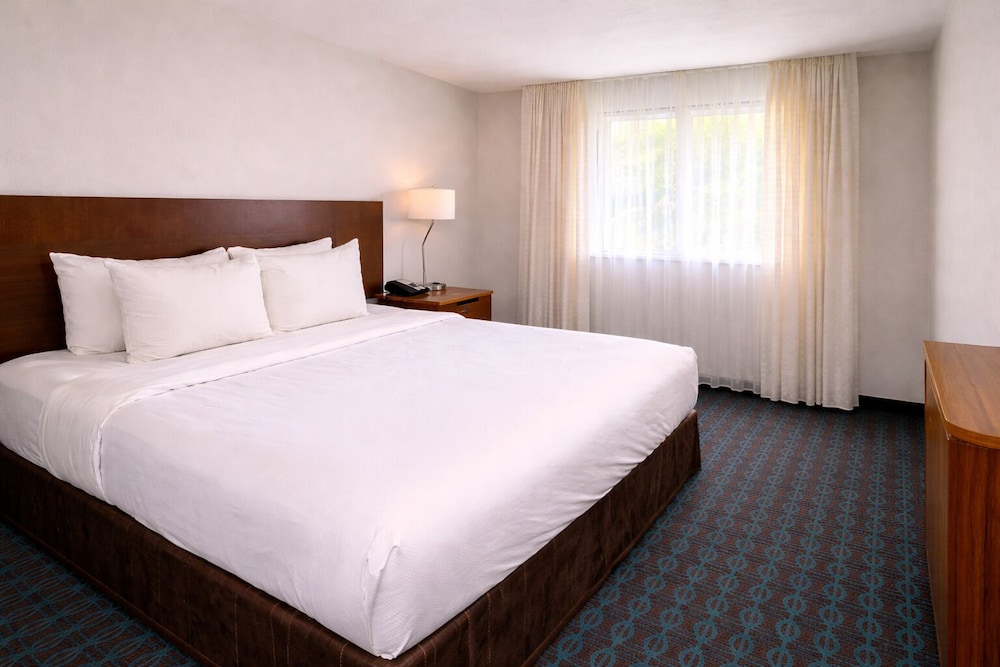 ROOM, KING BED, ACCESSIBLE