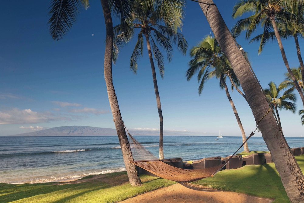 Hyatt Regency Maui Resort and Spa 45/50