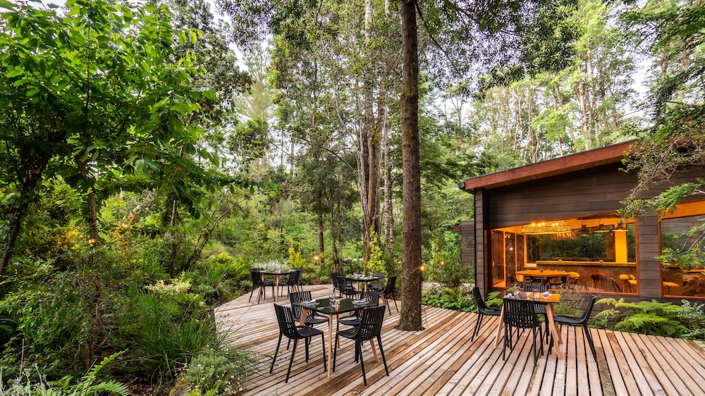 Rakau Lodge 12/16