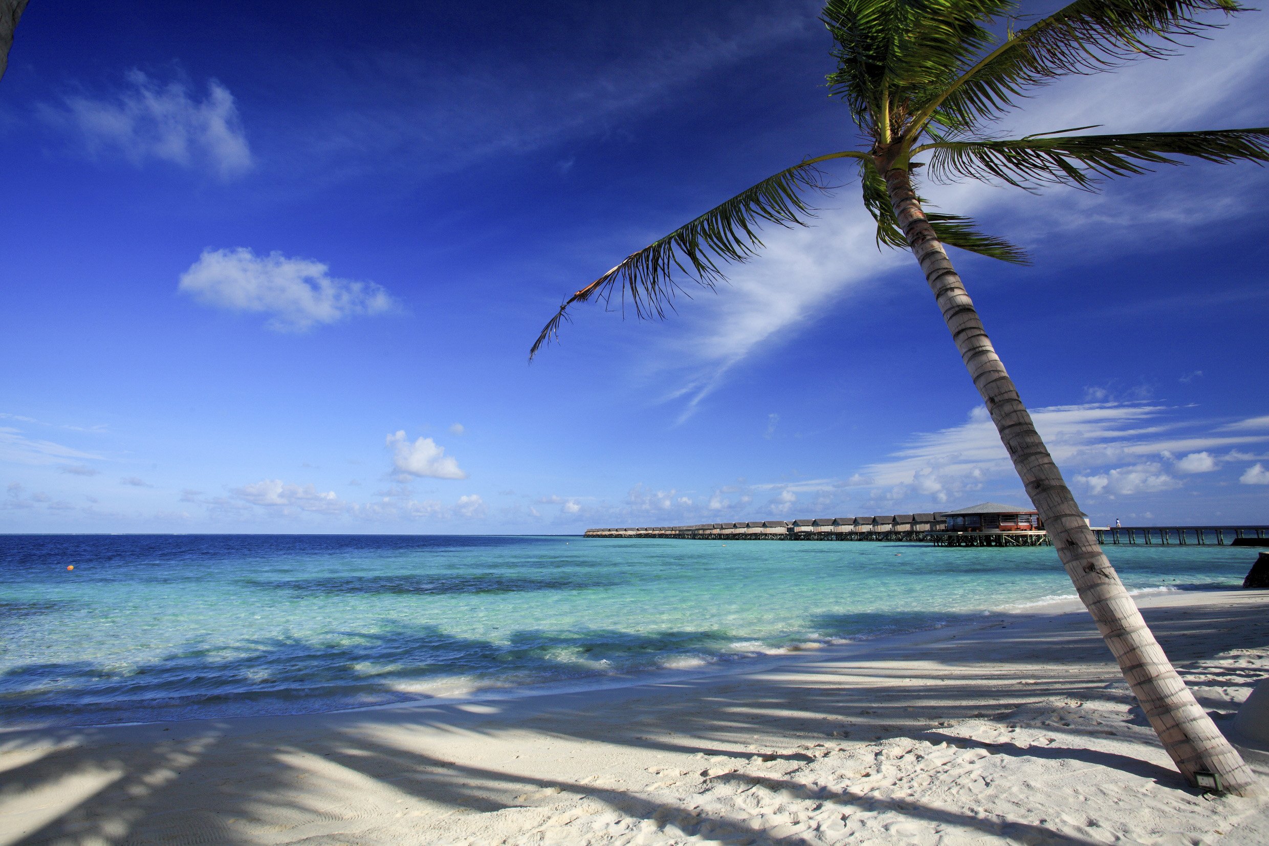 Centara Ras Fushi Resort and Spa Maldives - Adults Only 72/77