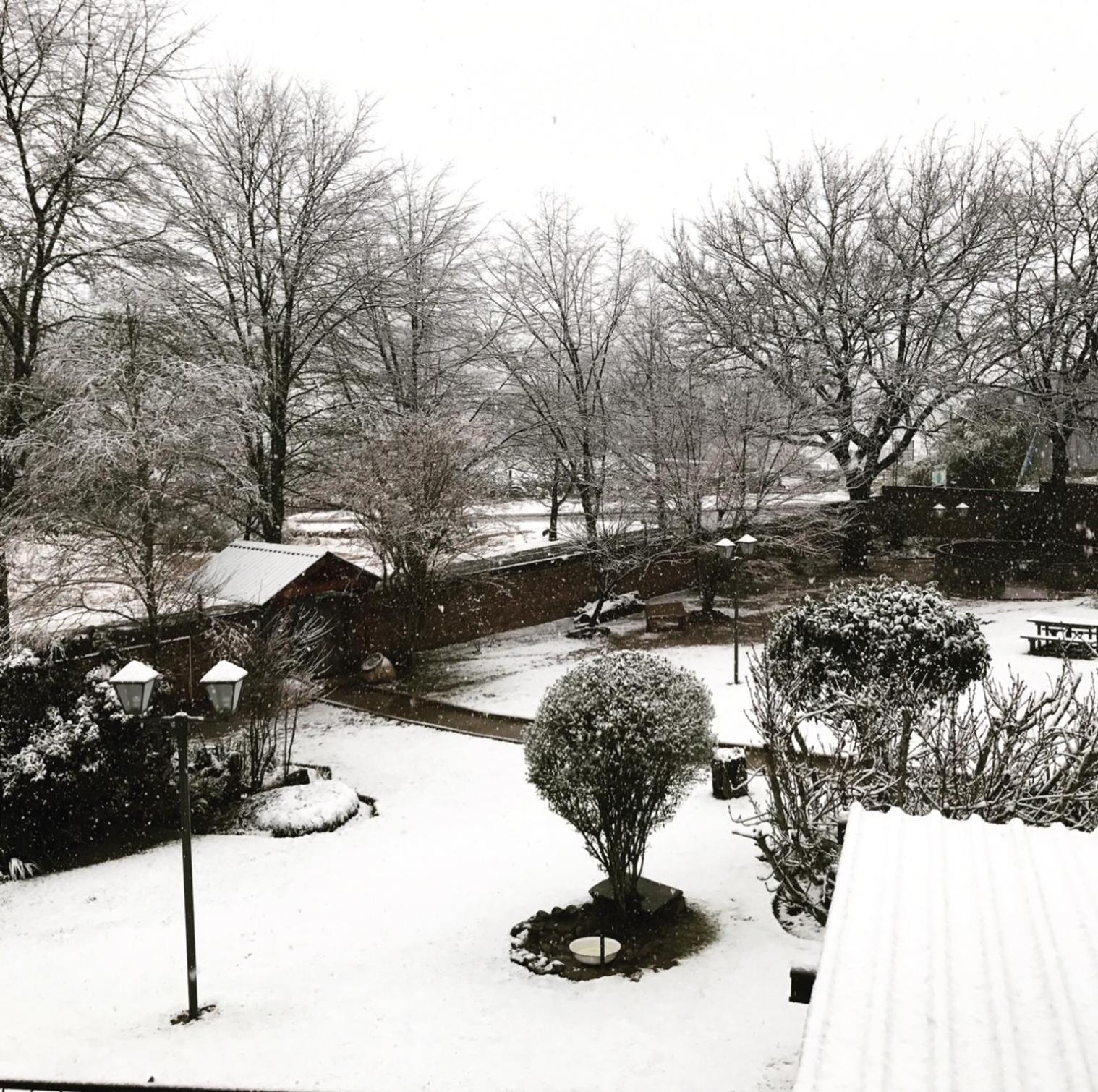 Alpine Bed and Breakfast 15/19