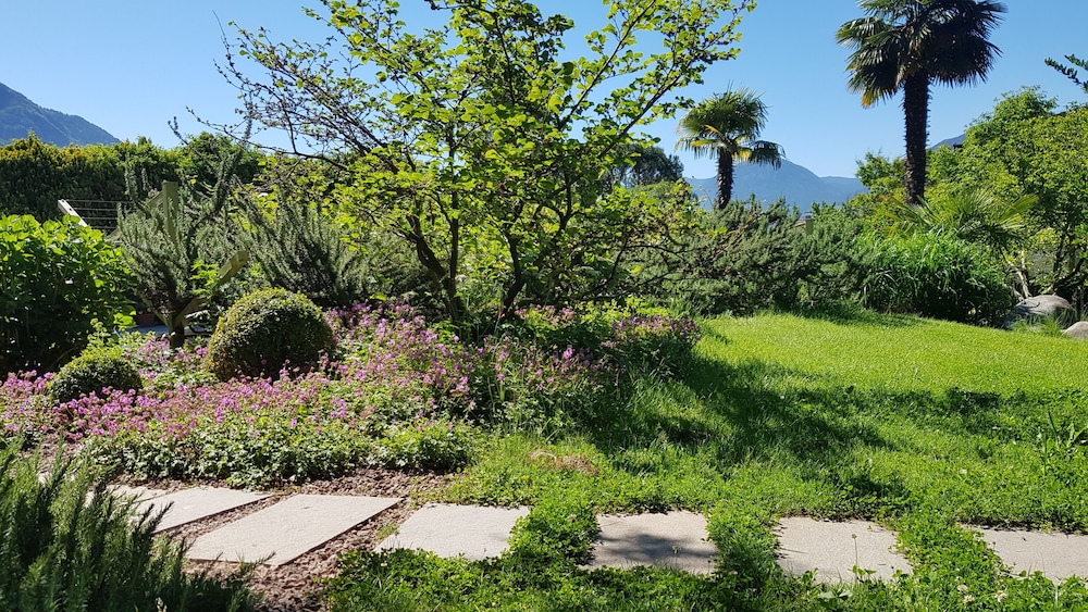 Gartenresidence Zea Curtis 43/50