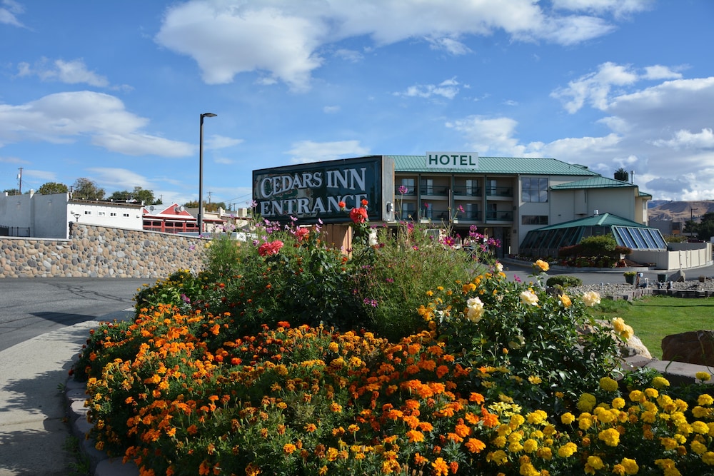 Cedars Inn 5/52