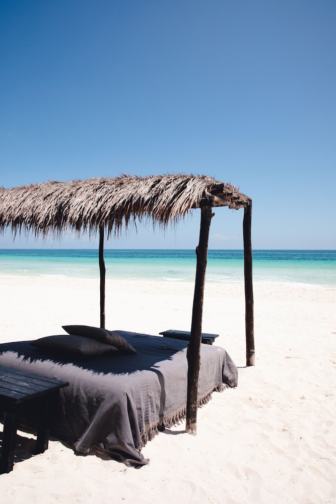 NEST Tulum 48/50