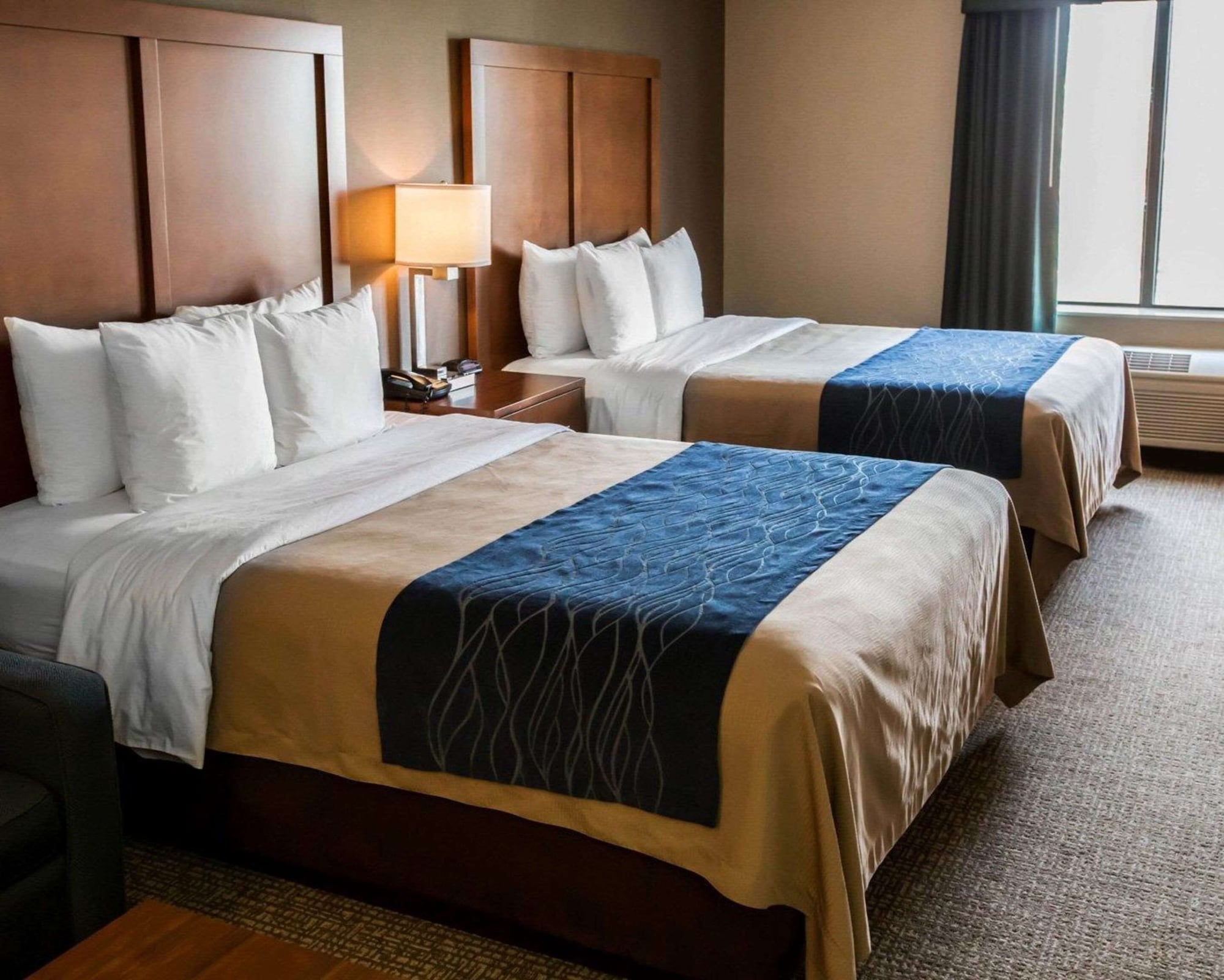 Suite, Multiple Beds