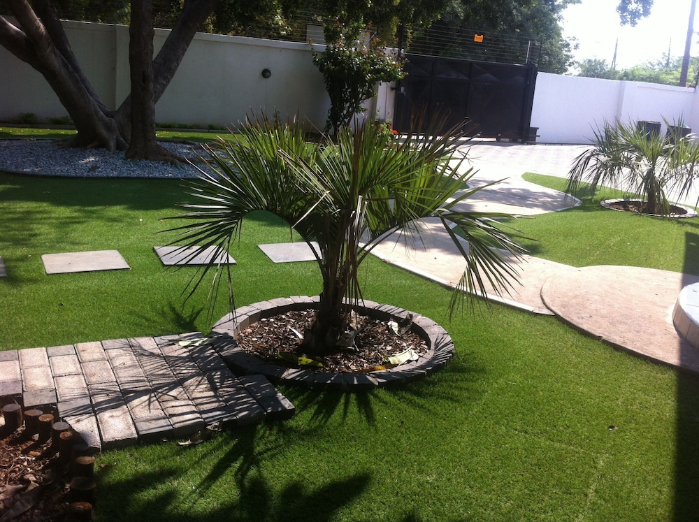 Cosy Palms Guest House 14/26