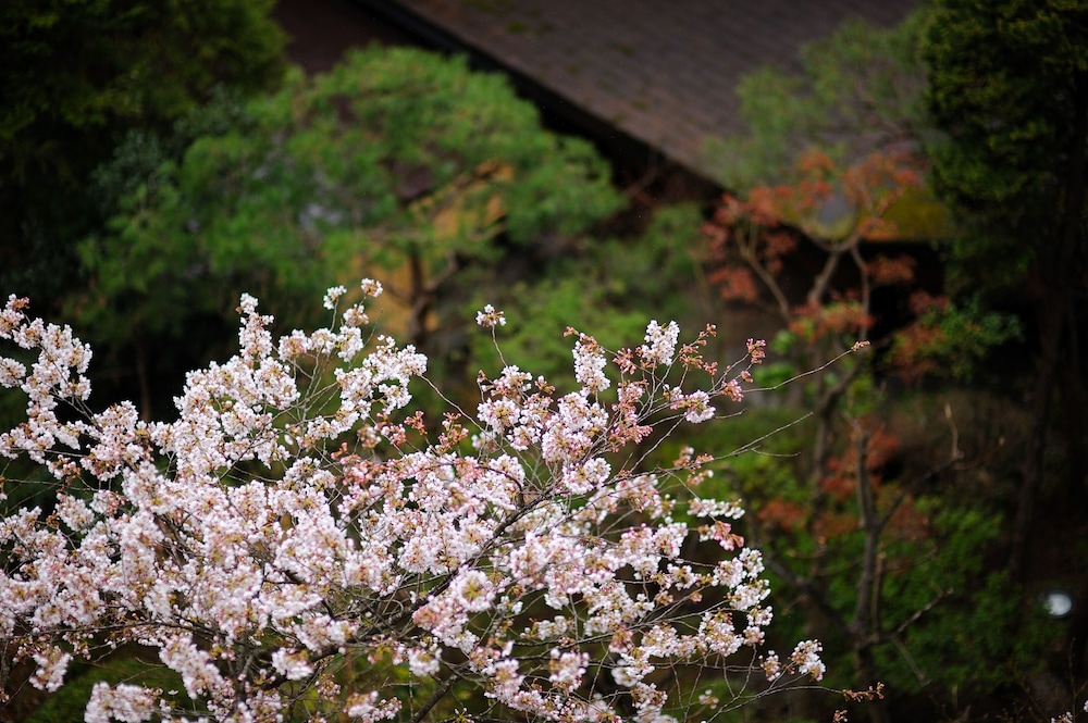 Tsukioka Hotel 60/61