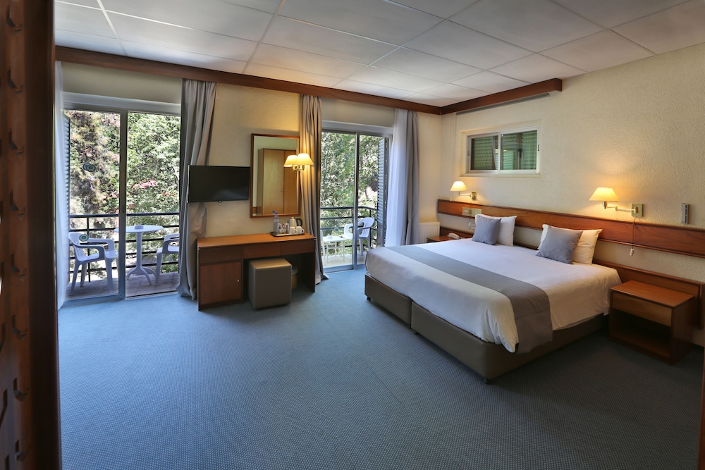 Forest Park Hotel 11/65