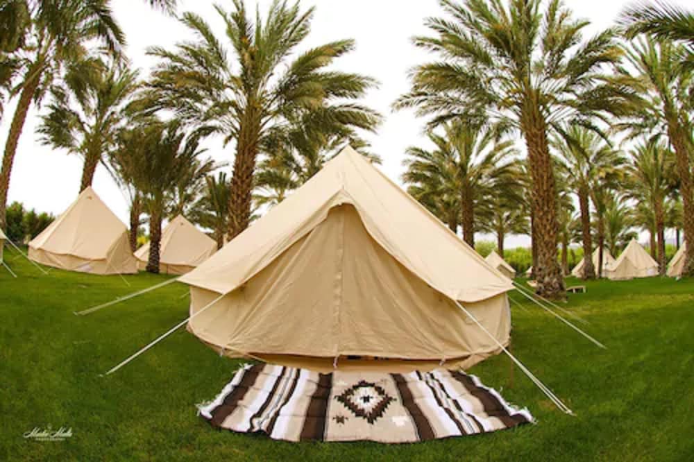 Festival Campgrounds Rancho 51 31/38