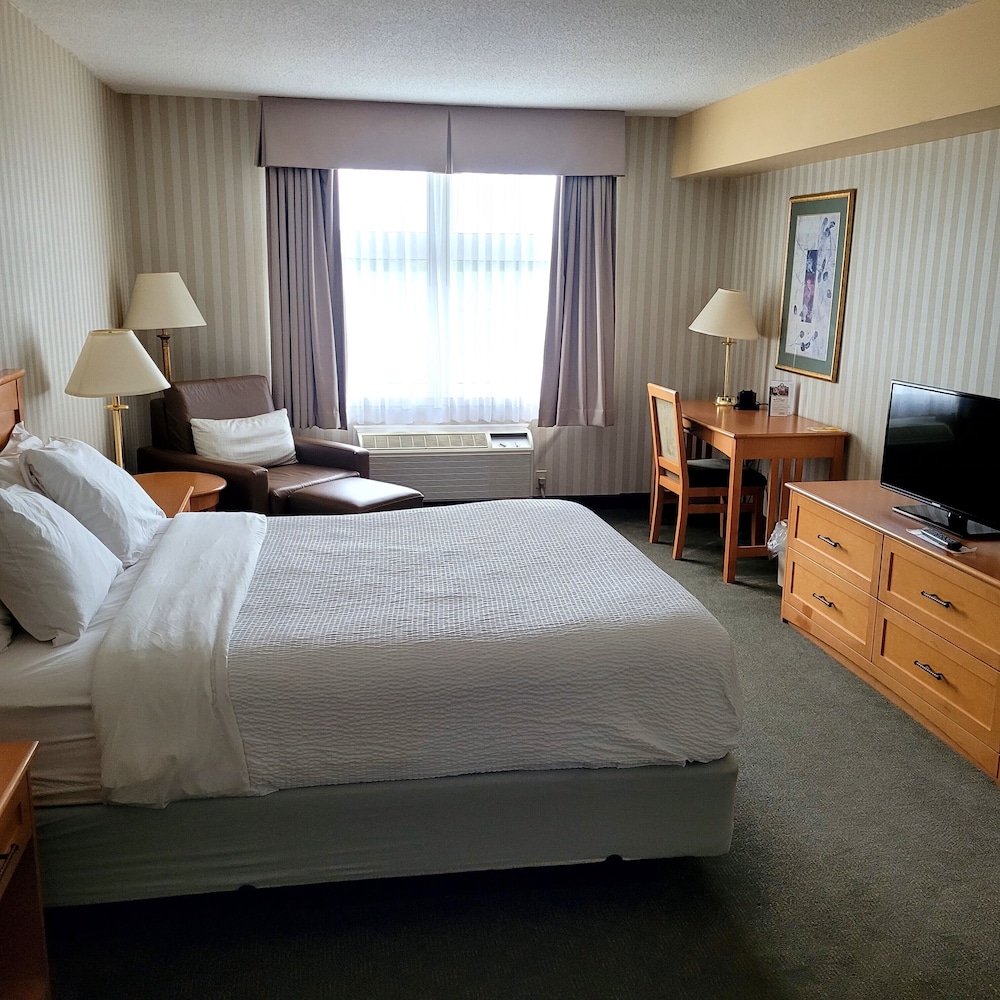 Room, King Bed